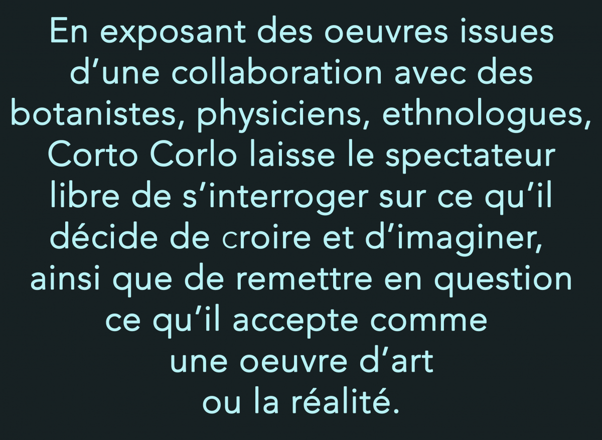 En exposant des œuvres issues d'une collaboration avec des botanistes, physiciens, ethnologues, Corto Corlo laisse le spectateur libre de s'interroger sur ce qu'il décide de croire et d'imaginer, ainsi de que de remettre en question ce qu'il accepte comme une œuvre d'art ou la réalité.