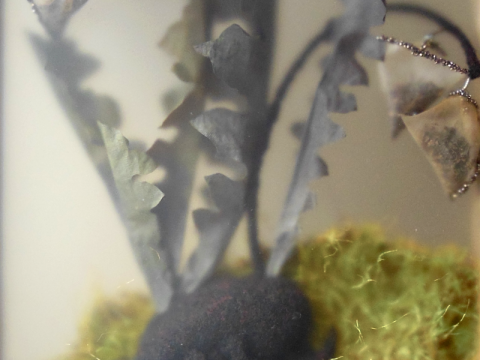 Camila Sinensis Saccus, détail