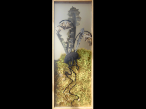Camila Sinensis Saccus