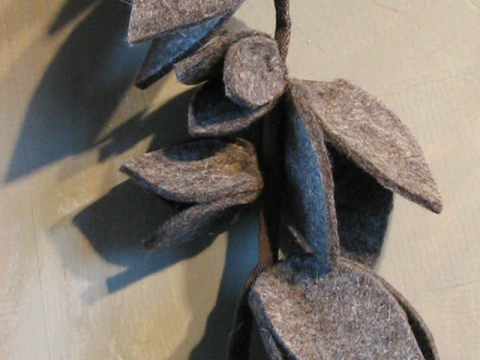 Agave Perfumae, détail